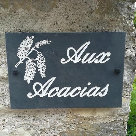 Aux Acacias Villa Braye-sous-Faye Exterior foto